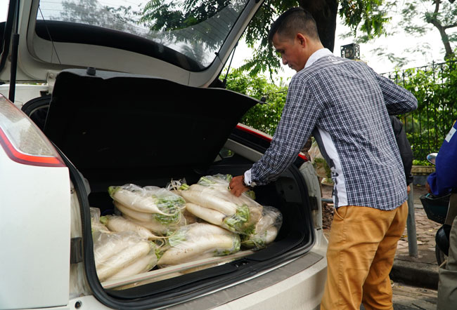 Video: Dân Thủ đô đánh ô tô, SH đi... giải cứu củ cải